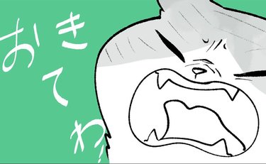 【漫画】深夜2時の「あざとい交渉術」拒絶された猫の猛反撃に「参りました」