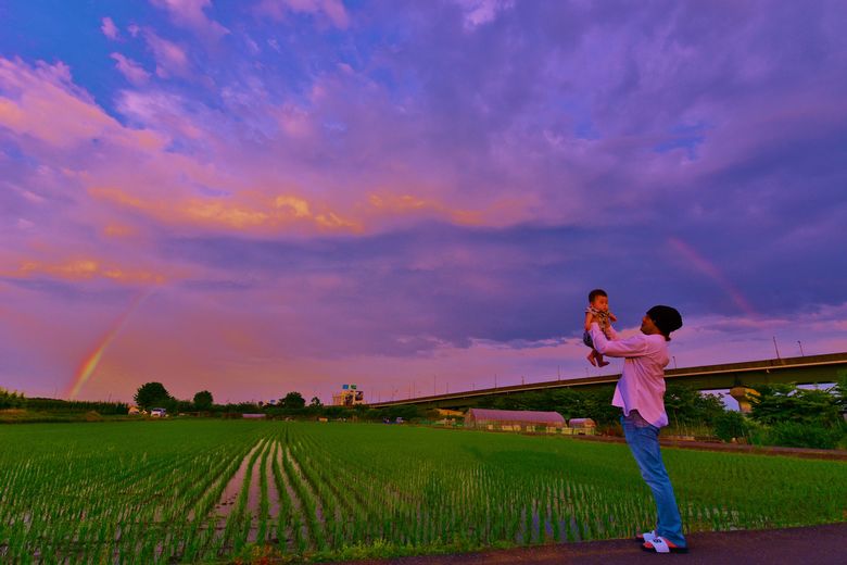 見沼田んぼの様子（4/5）