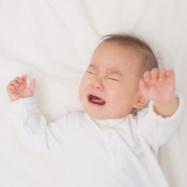 写真はイメージです