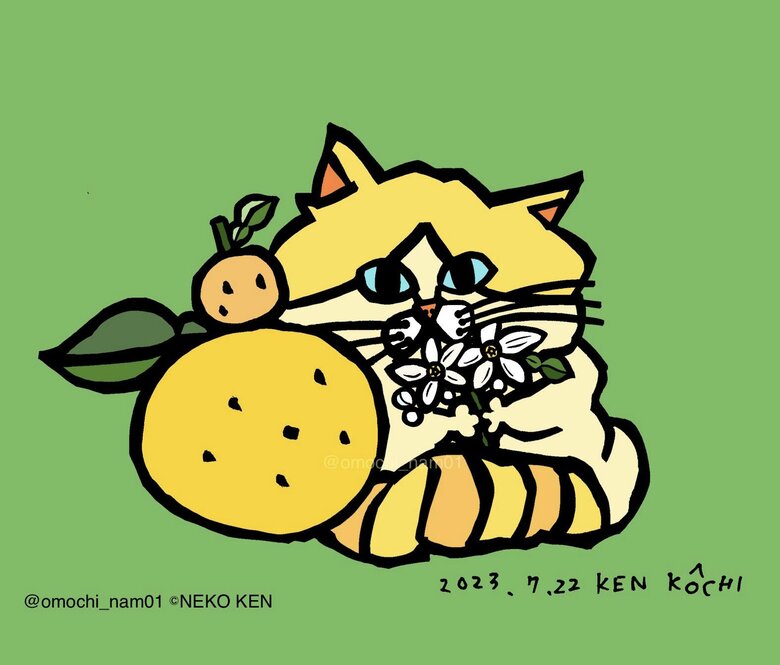 高知県！！ 高知県は、日本一のゆずの生産地！！ という訳で、ハッとする程爽やかで眩しいゆずネコさん！！（なみそさんのXの投稿より）