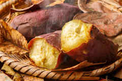 電子レンジでパサつかない焼きいもが作れるだって!?「…知らなかった」