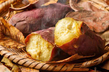 電子レンジでパサつかない焼きいもが作れるだって!?「…知らなかった」