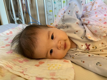 “5億円集める”「あおちゃんを救う会」代表になった会社員が突き動かされたもの