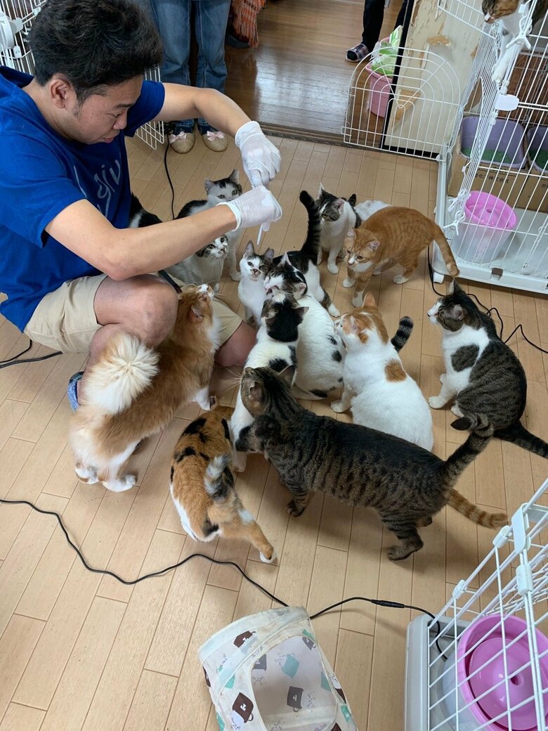 保護猫団体でケージの掃除などのお手伝いをすることも。「掃除後におやつをあげるのが、僕にとってもごほうびです」