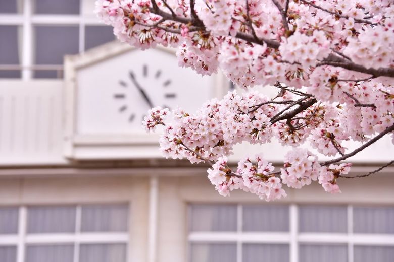 【写真２】shutterstock_617206844