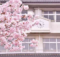 まさか小学校の卒業式で娘に袴をせがまれる時代が来るとは… 流行に頭を抱えるママの心情