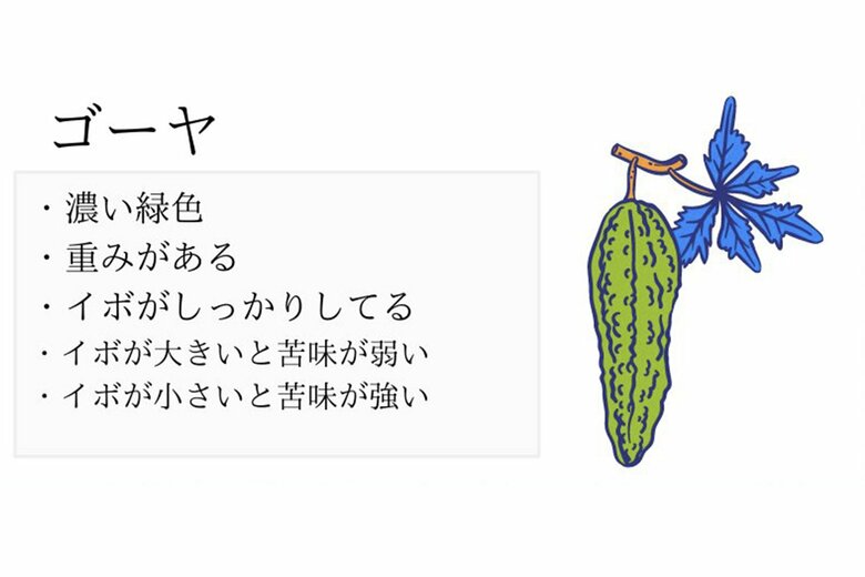 おいしいゴーヤの見分け方