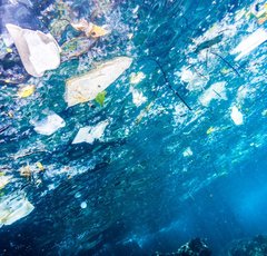 プラスチックのない生活は日本ではあまりに過酷だった