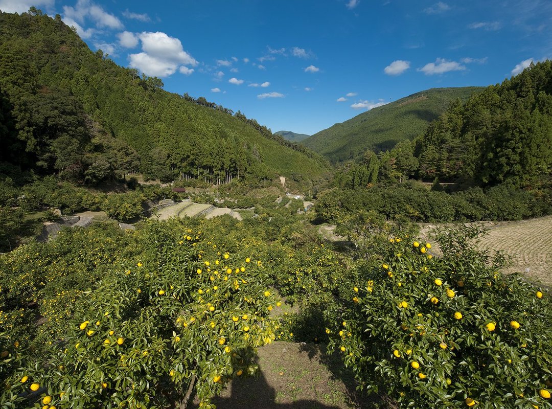 風景3