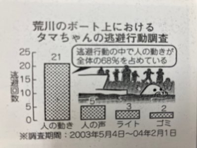 アゴヒゲアザラシのタマちゃんの行動観察記録の一部