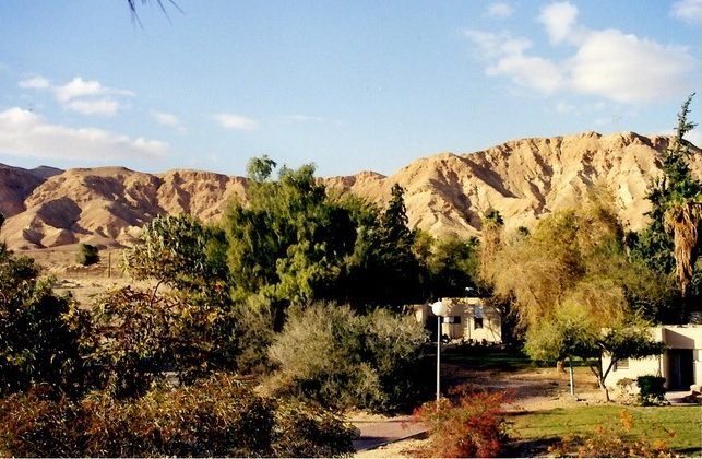 田中さんが半年暮らしたキブツは、周囲の環境との共存を目指していた