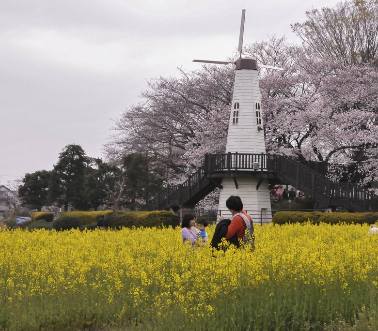 見沼田んぼの様子（1/5）