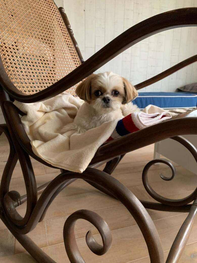 父の形見のロッキンチェア