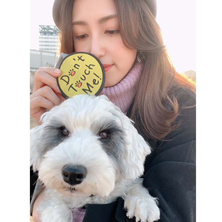 有村実樹さんの愛犬