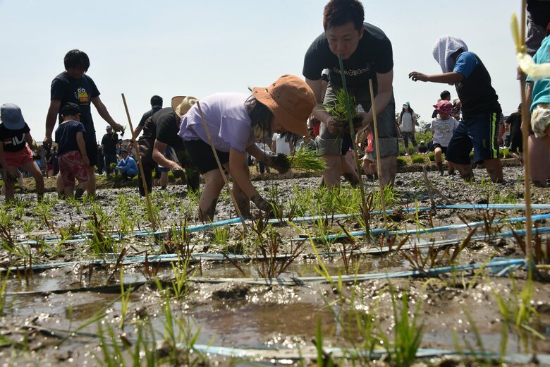 田植え体験ツアーの様子