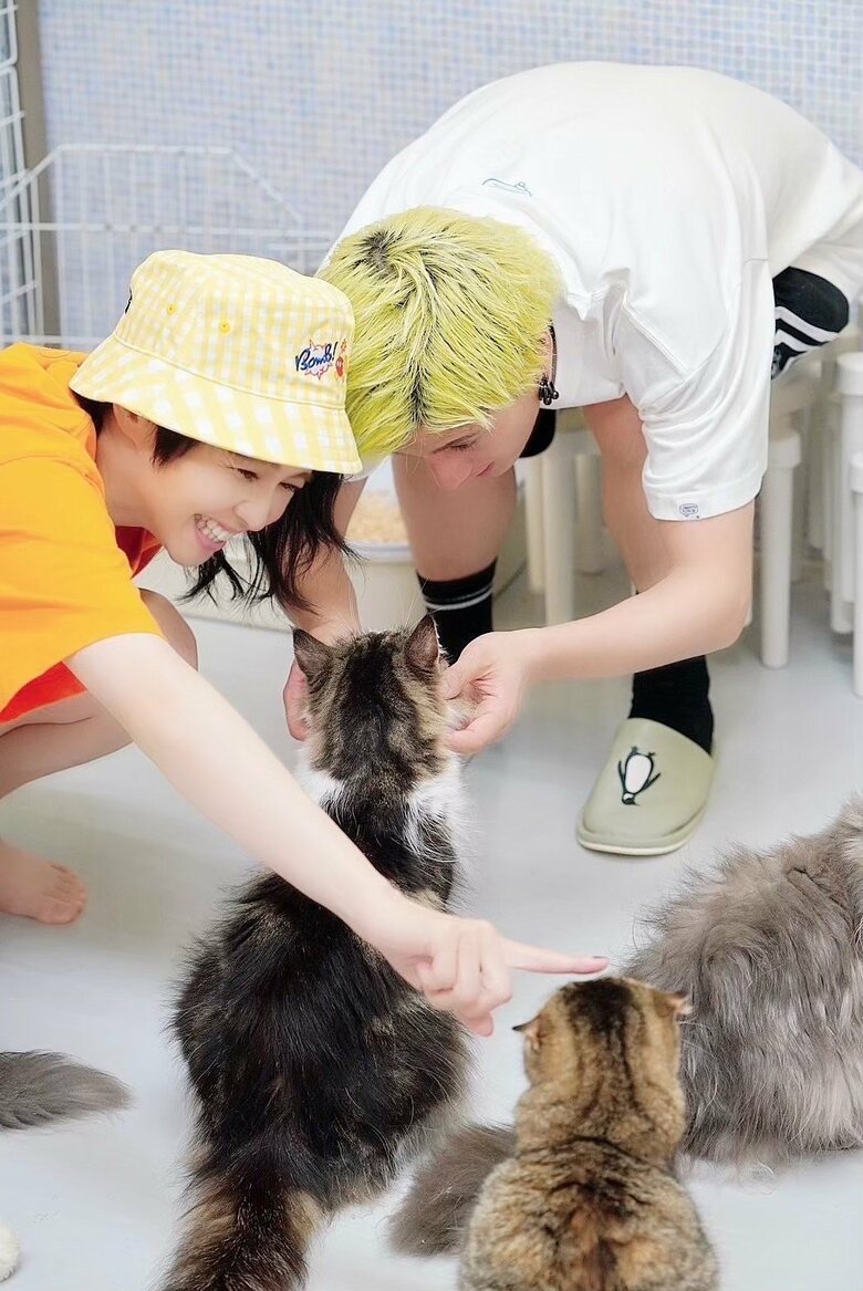夫婦で保護猫活動などにも積極的に取り組む