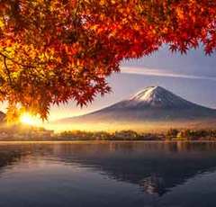 ｢紅葉の見ごろは計算で出せる｣知られざるお天気業界の常識