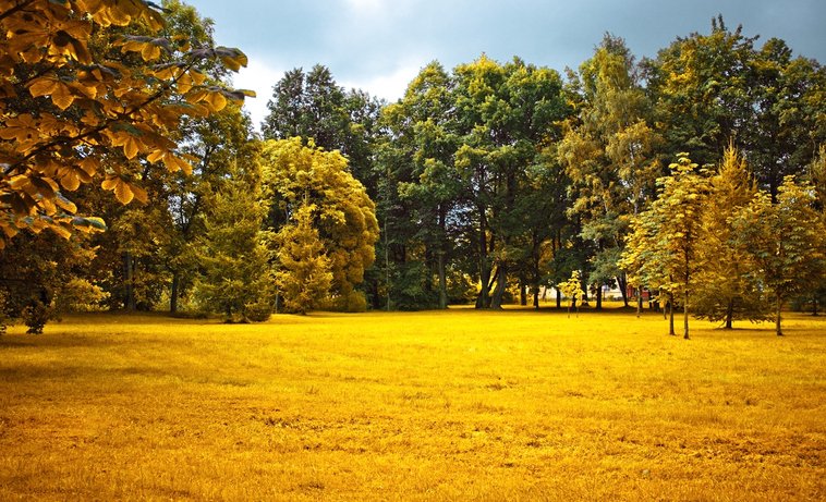 iStock.com/anneleven