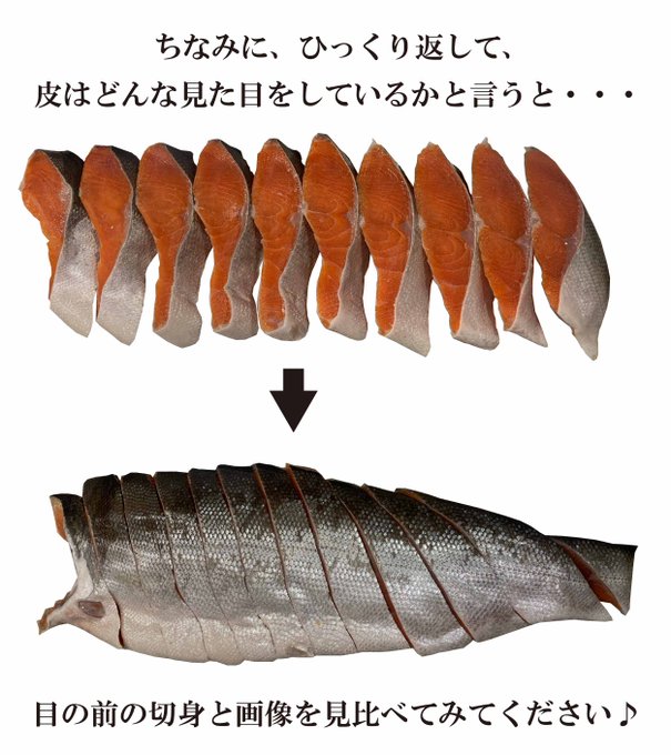 皮面を見てみよう！