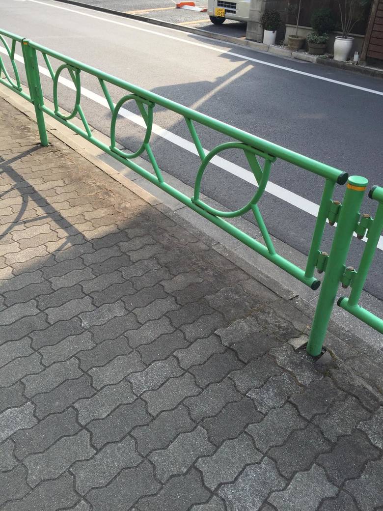 中野区　どんぐり