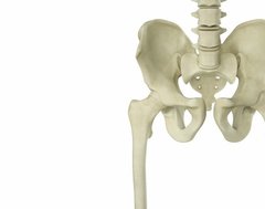 骨盤のゆがみを解消して痩せやすい体に