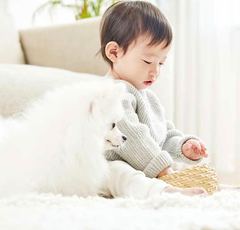 「ペットを飼いたい」子供の発言で親がまず考えるべきこと