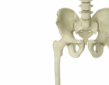 骨盤のゆがみを解消して痩せやすい体に