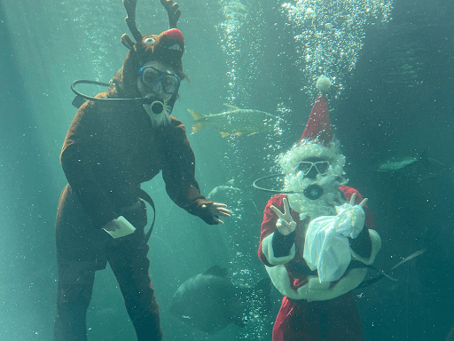 過去にはサンタクロースやトナカイが潜水で登場！？一年を通して楽しいイベントが目白押しです。