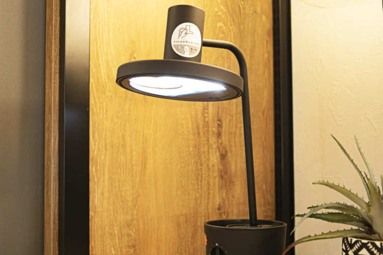 BALMUDA(バルミューダ)/BALMUDA The Light