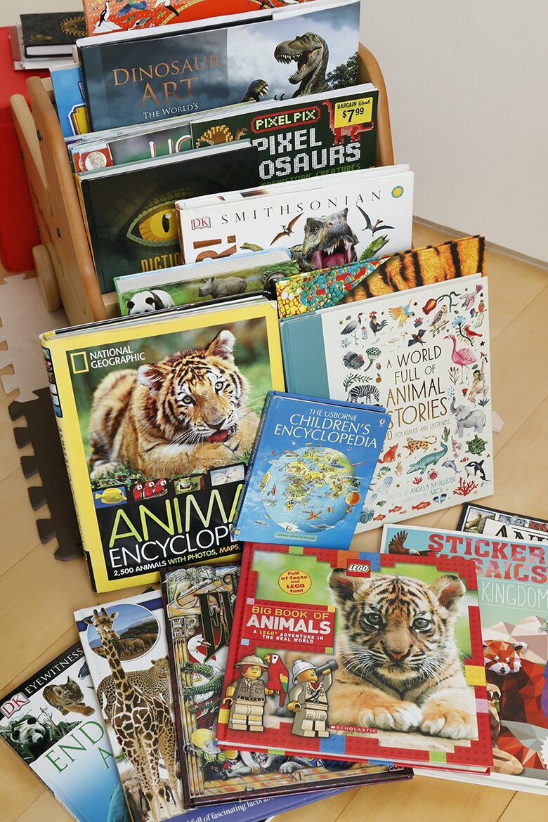 自宅にはさまざまな英語の絵本や図鑑が！（画像はごく一部です）