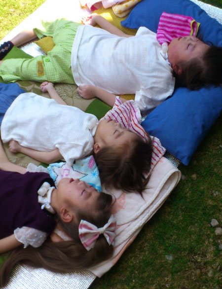 暖かく天気の良い日は3人でよくひなたぼっこをし、近所の方も声を掛けてくれたという