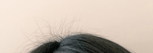 ▲これですね。