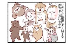 個性的な長男2「カワウソ似」