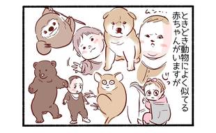 個性的な長男2「カワウソ似」