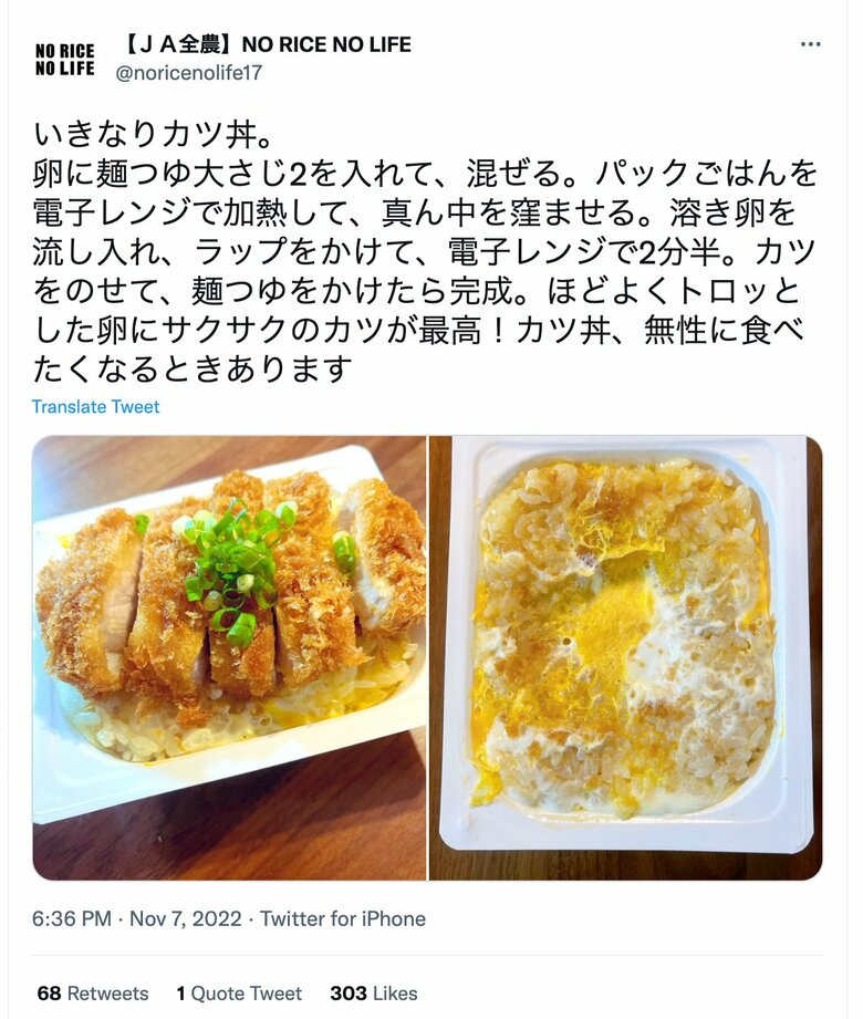 人気No.5【いきなりカツ丼】