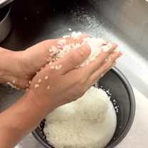 ③お米を両手ですくって持ち上げ１～２回もむ。60数えながらまんべんなく繰り返す