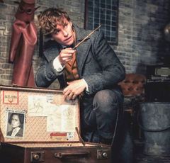 若き日のダンブルドアも登場！物語はよりダークな世界へ『ファンタスティック・ビーストと黒い魔法使いの誕生』