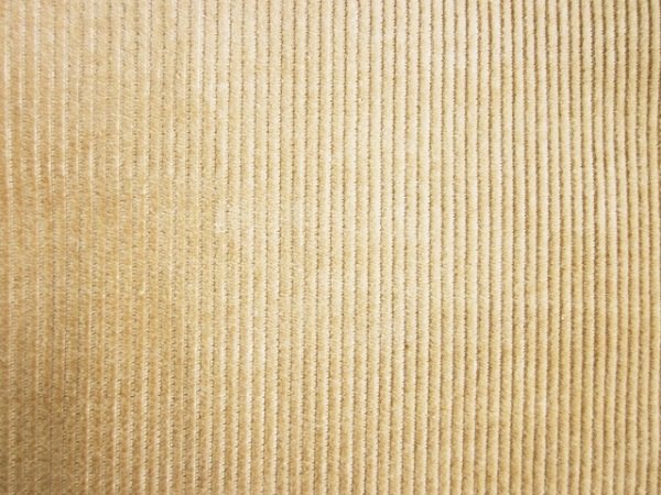 コーデュロイ生地の画像