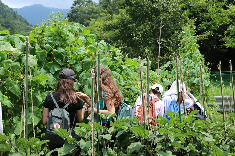 山梨県小菅村でイスラエル、パレスチナ、日本の学生が一緒に里山体験をする