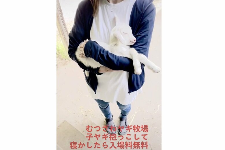 バズったTikTokの写真