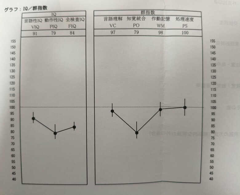 28歳でWAIS-III（知能検査）を受けた結果。IQには言語性IQ（言語を通じた論理的な思考力や推理力を測る指標）や、動作性IQ（空間把握や状況を素早く理解する力を測る指標）、全検査IQ（言語性と動作性の両方の結果を総合し、全体の知的能力を数値化したもの）の3つあることが記載されている