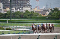 資産運用としての「ギャンブル」を考える……競馬で投資はできるのか？