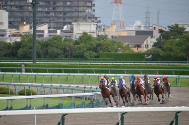 資産運用としての「ギャンブル」を考える……競馬で投資はできるのか？