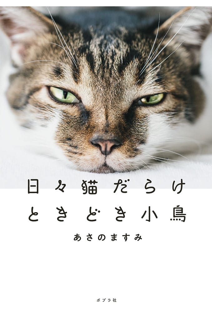 『日々猫だらけ　ときどき小鳥』表紙