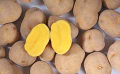 秋じゃがの甘みを最大限に引き出す簡単レシピ！「こんな美味しい食べ方あったんだ…」