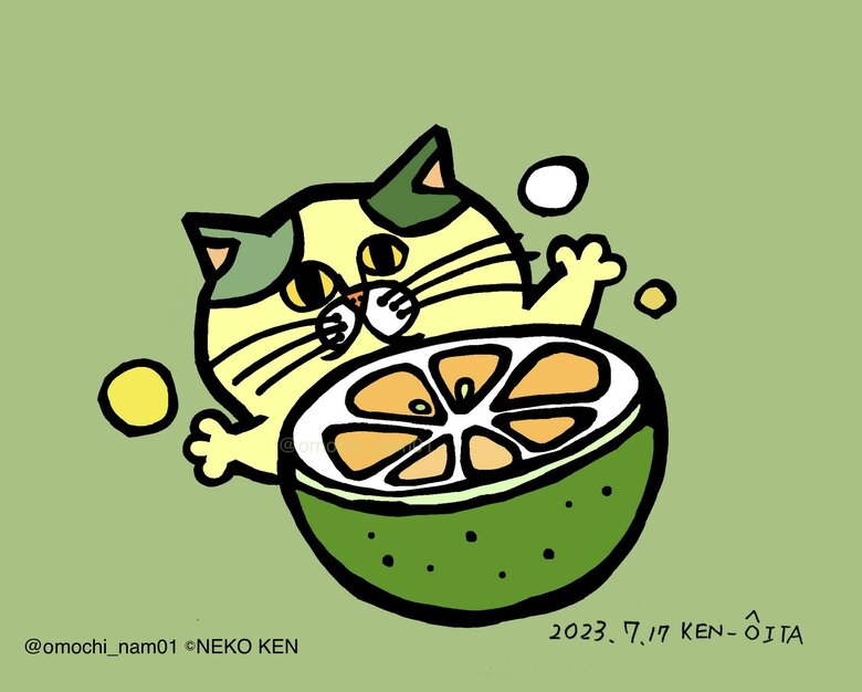 大分県！！ カボスねこだよー！！ さわやか！！ （なみそさんのXの投稿より）