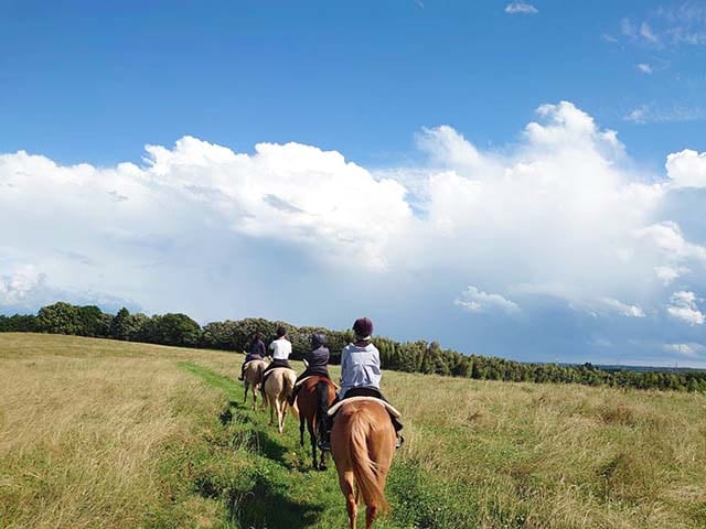 ファームのアクティビティとして人気の乗馬体験