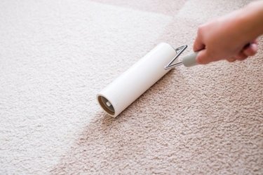 掃除機いらずでストレスフリー！？「コロコロ」徹底活用でキレイを目指そう