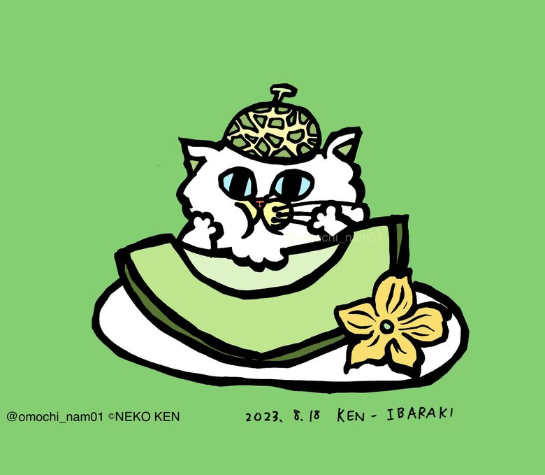 茨城県の「メロンネコ」