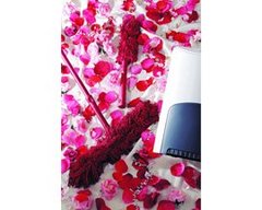 専用クリーナーで モップの手入れが一瞬！ダスキン「ベーシック３」